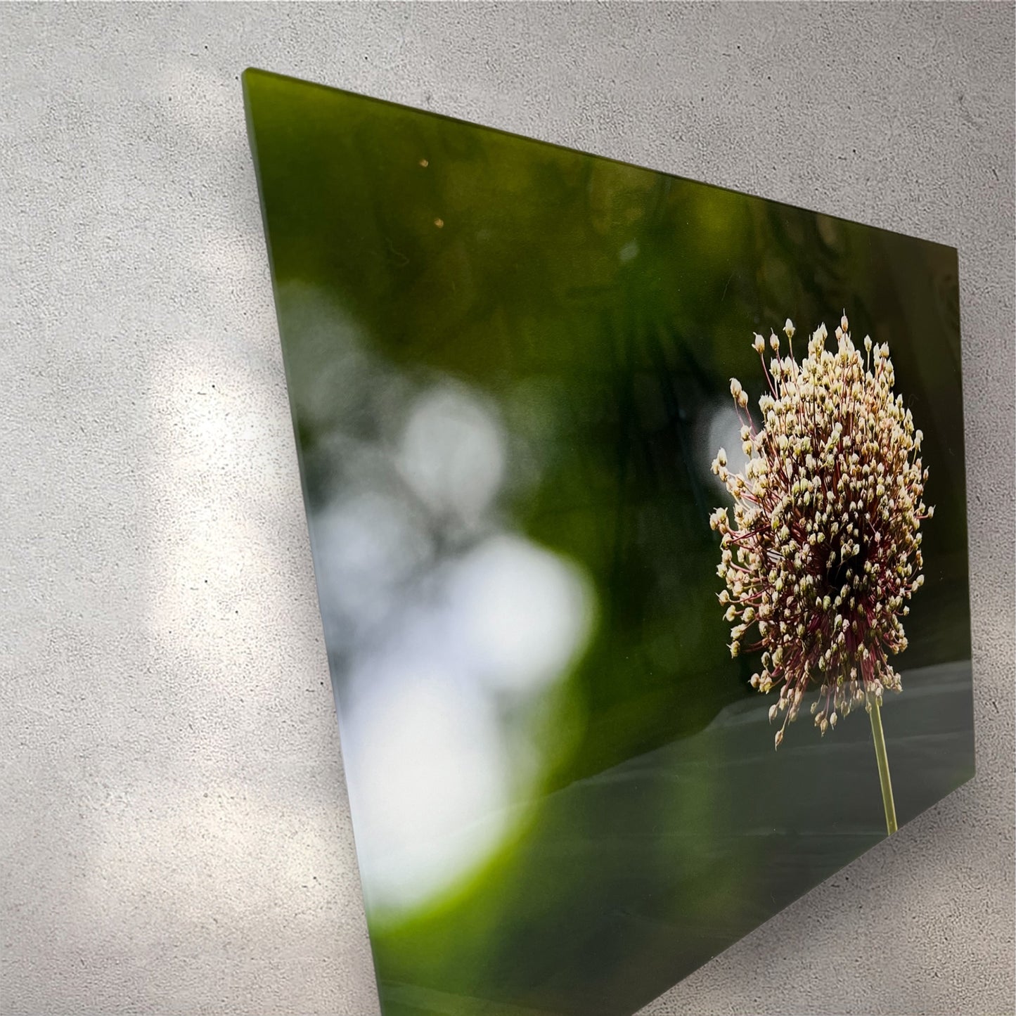 Travel nature flower garden photography acrylic print side view