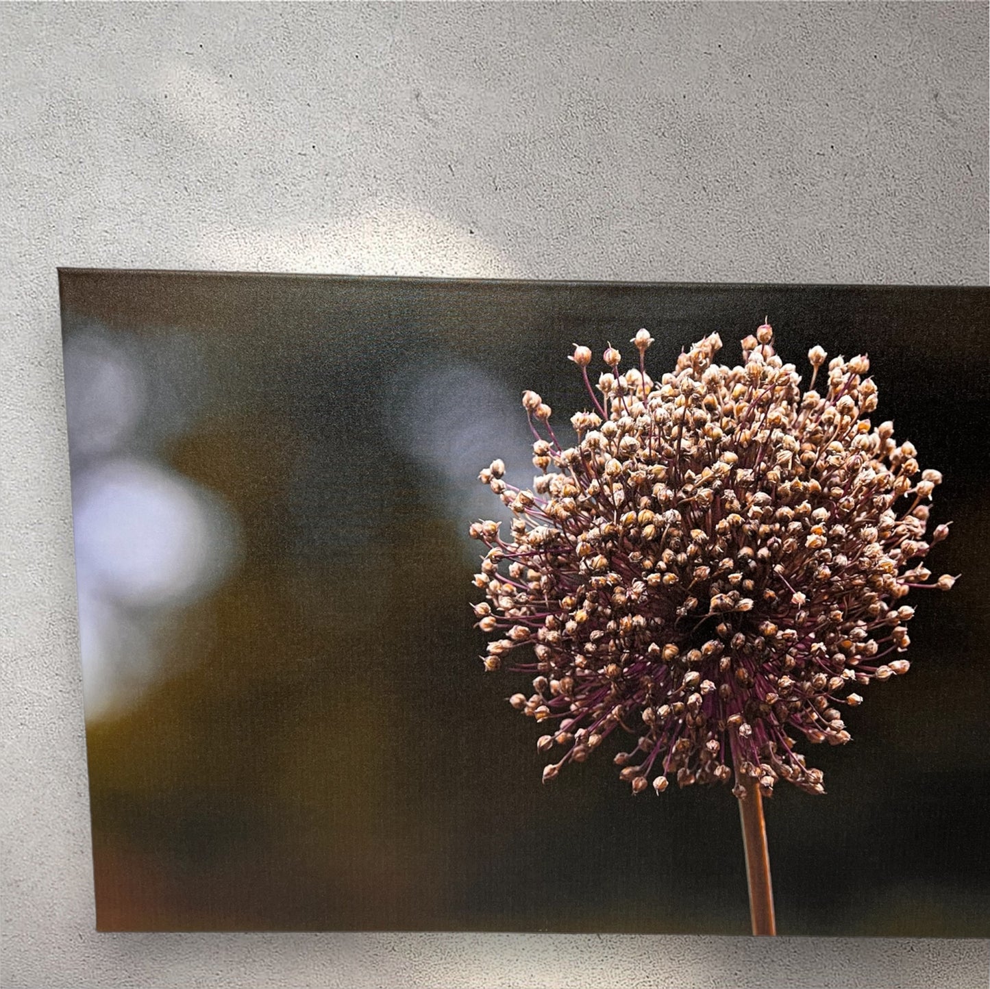 Travel nature flower garden photography canvas print