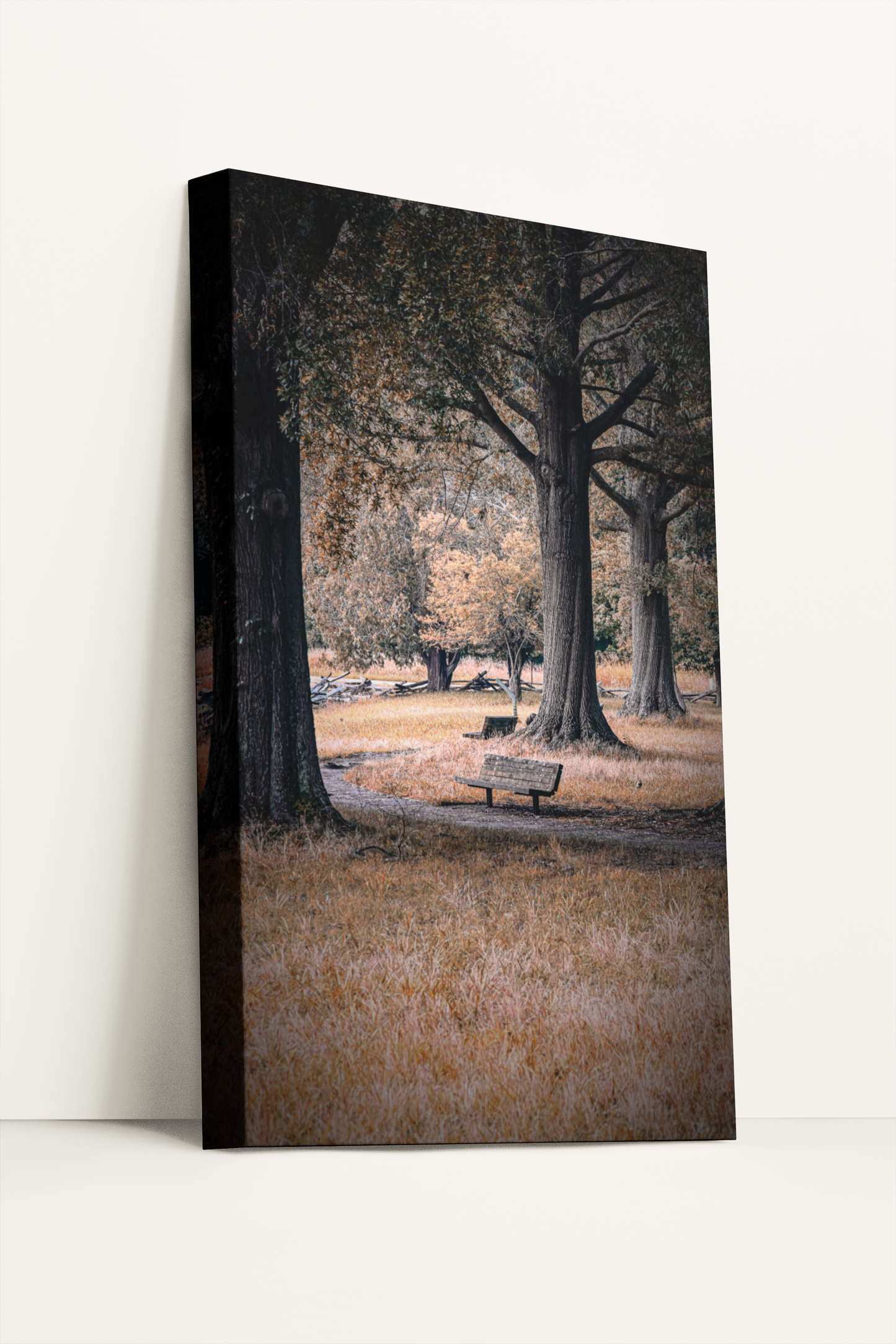 Travel nature fall foliage photography canvas print