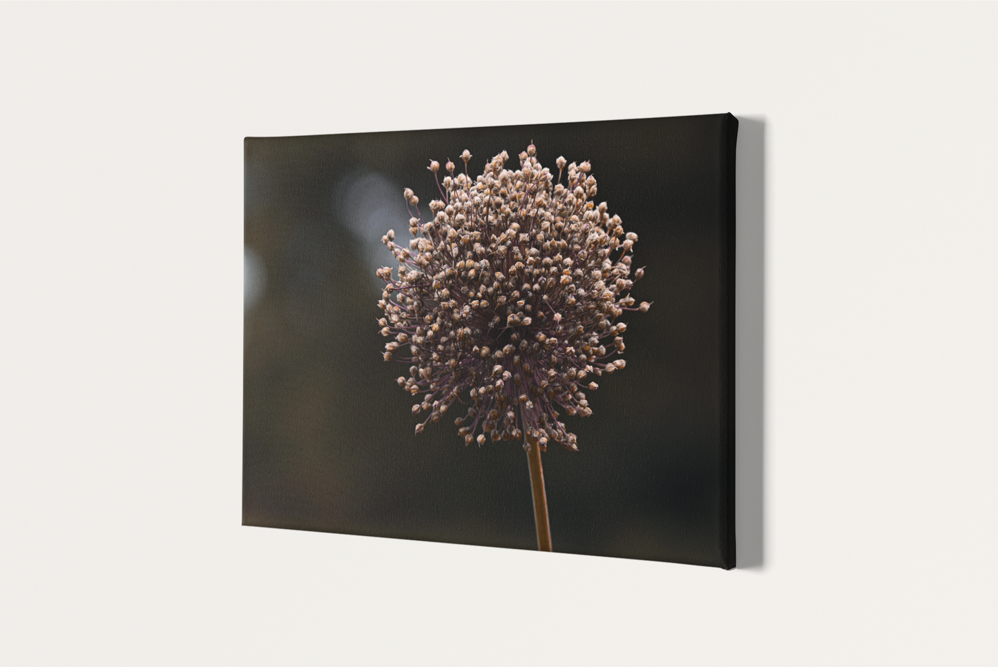 Travel nature flower garden photography canvas print