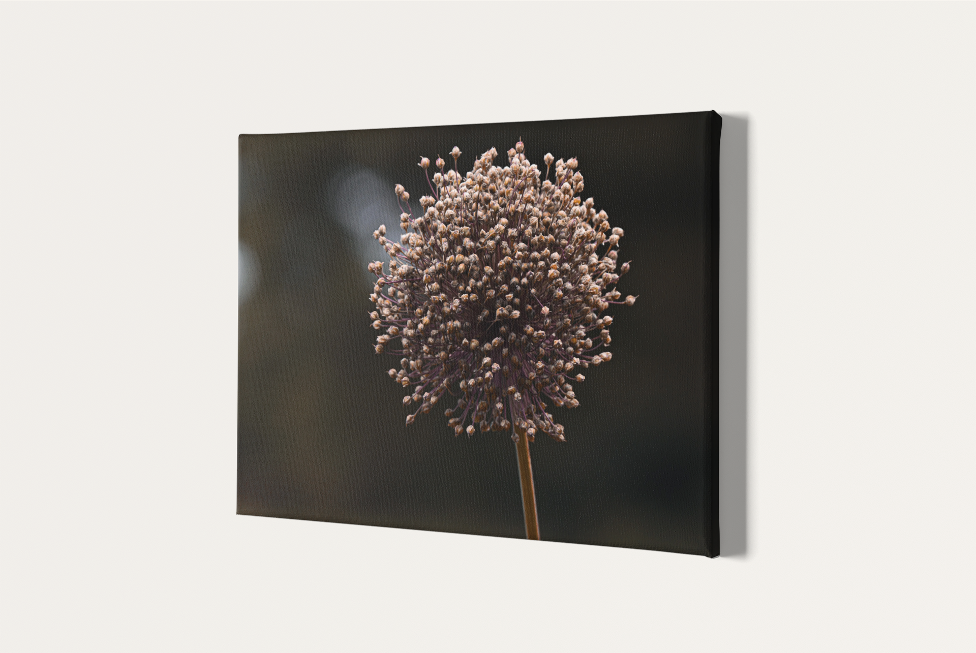 Travel nature flower garden photography canvas print