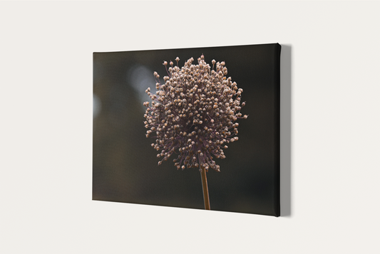 Travel nature flower garden photography canvas print