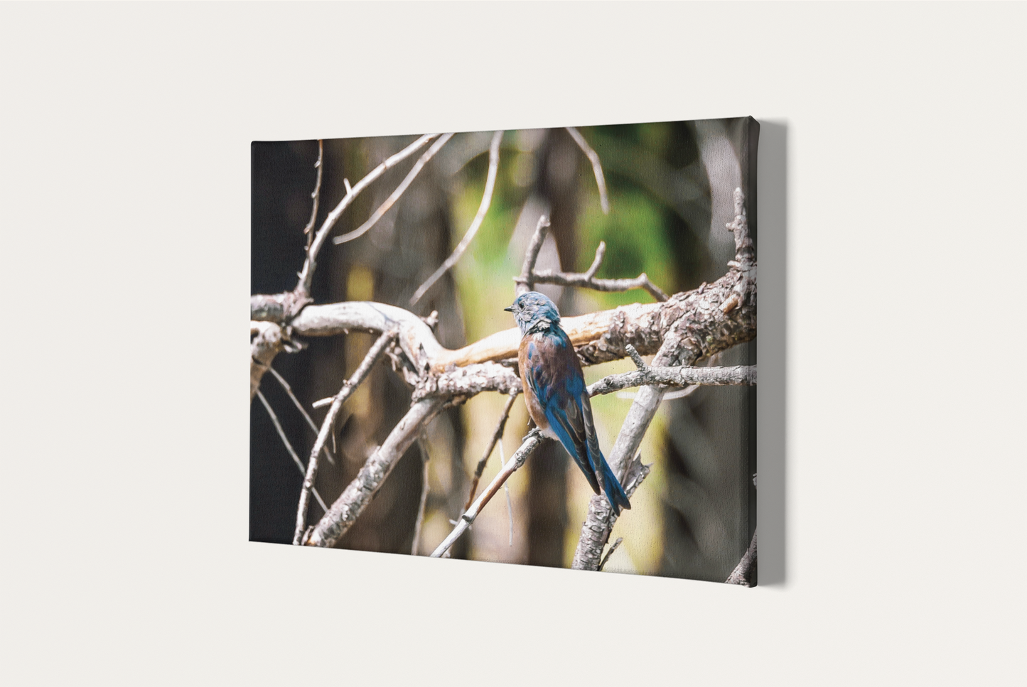 Nature bird travel photography canvas print