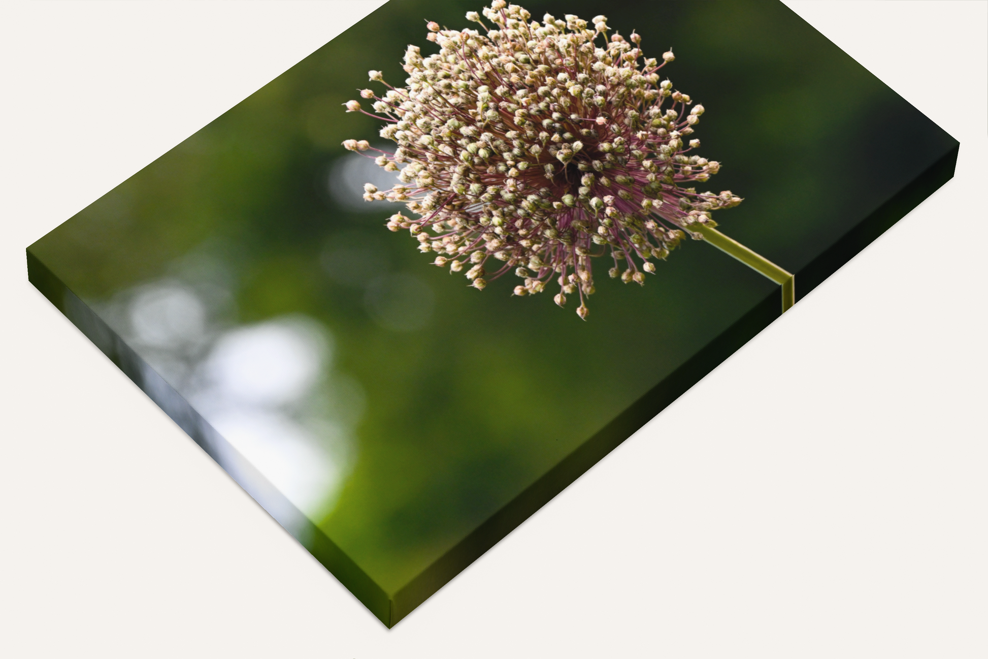 Travel nature flower garden photography canvas print