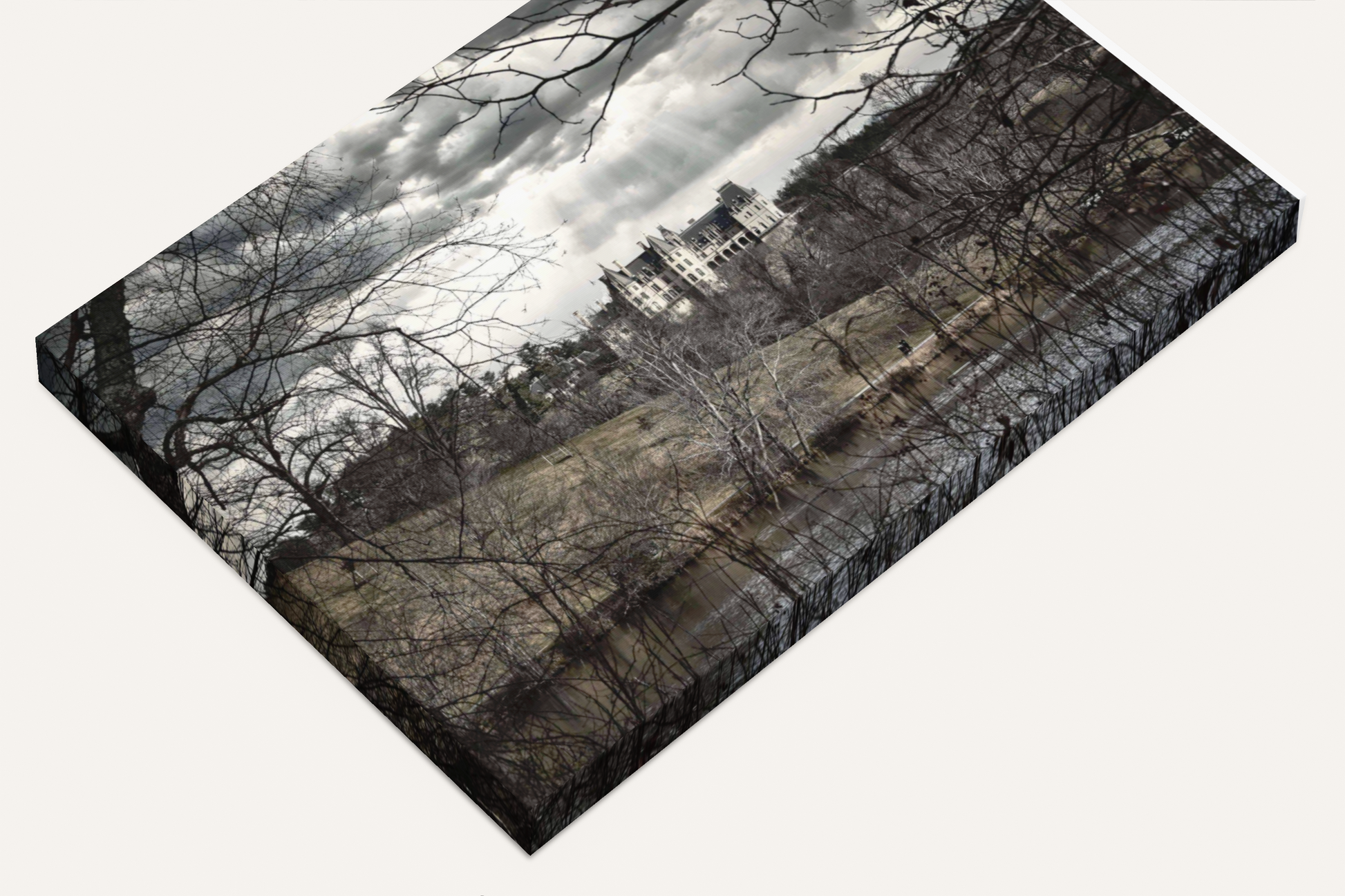 Travel Biltmore Estate photography canvas print