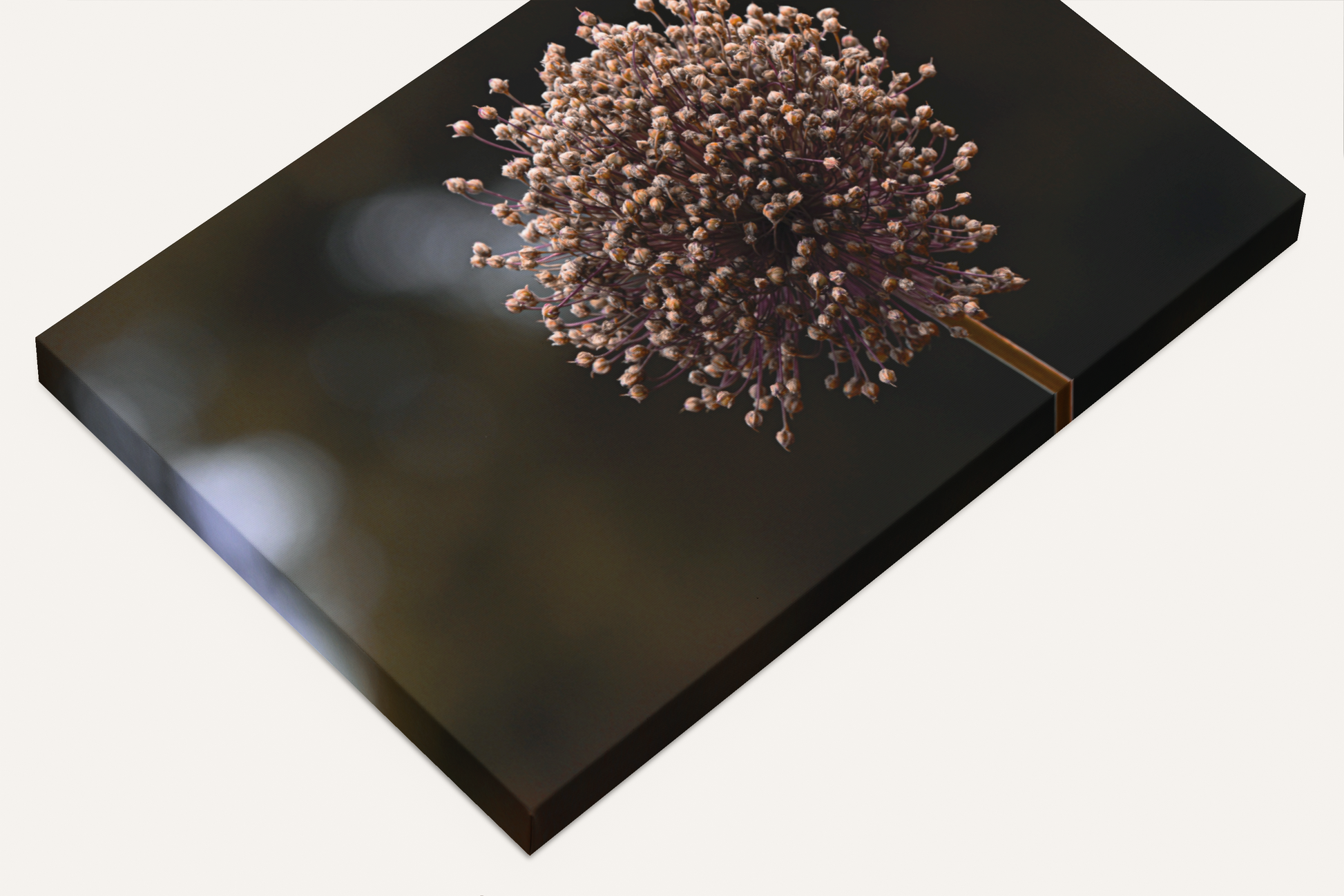 Travel nature flower garden photography canvas print