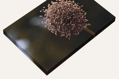 Travel nature flower garden photography canvas print
