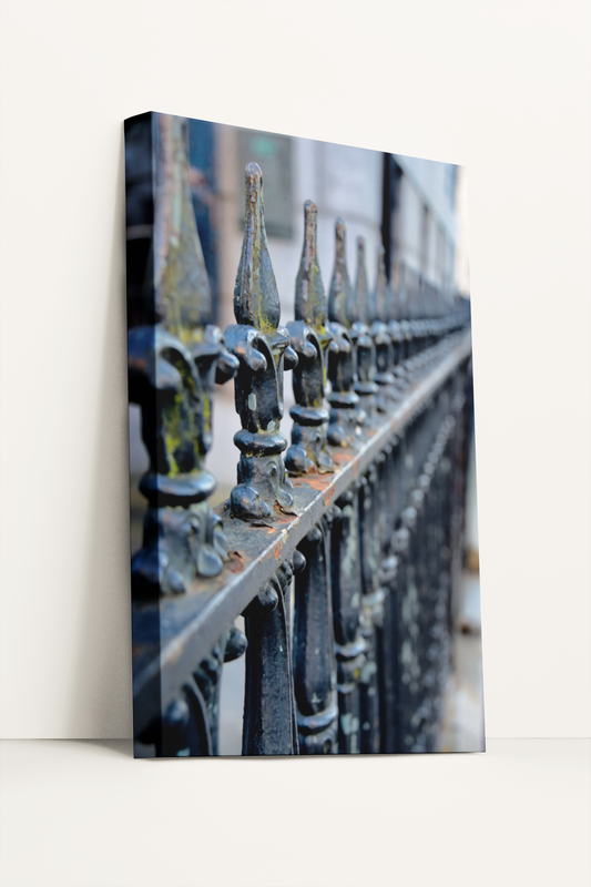 Travel Savannah street fence photography canvas print