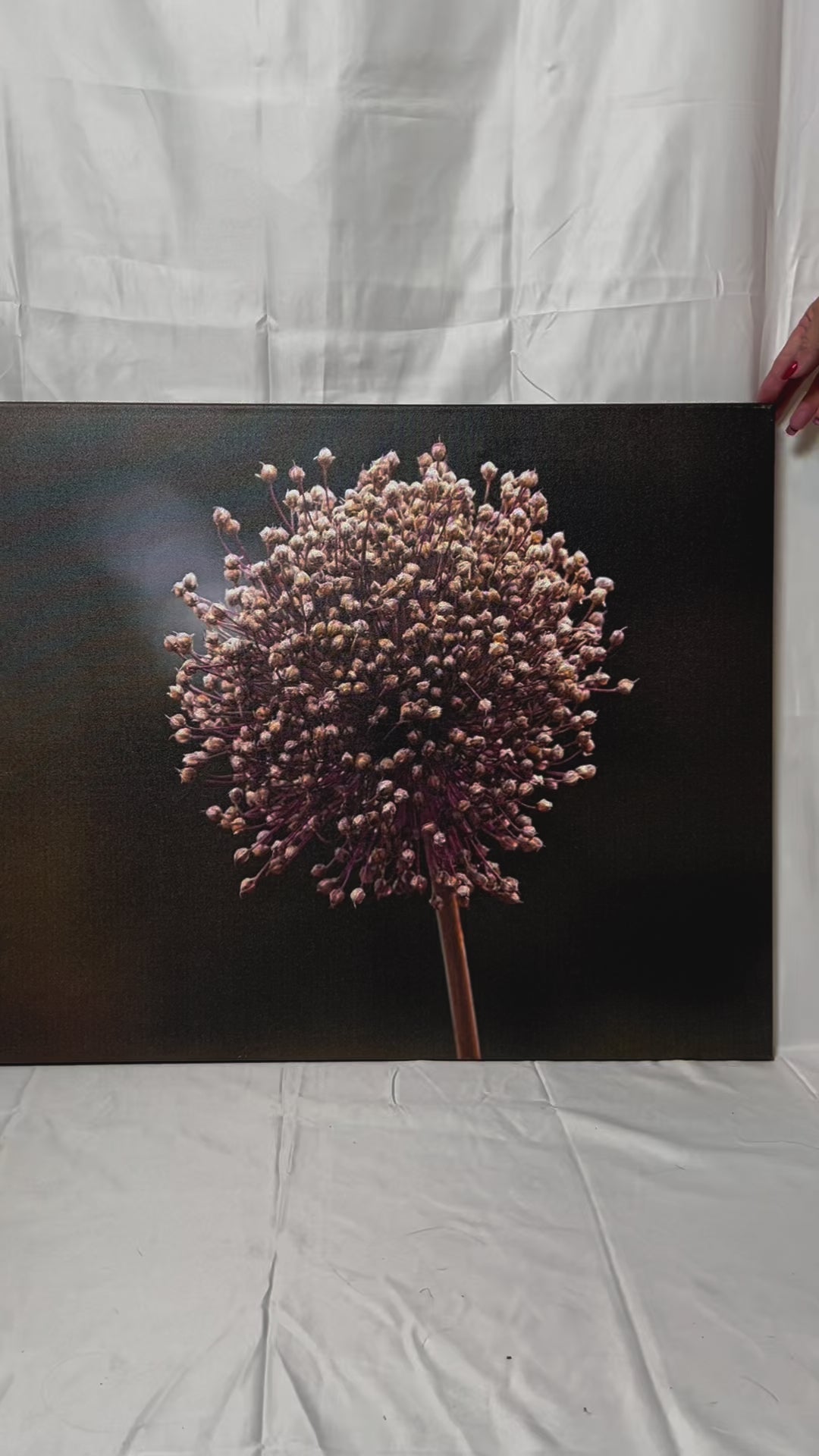 Travel nature flower garden photography canvas print video preview